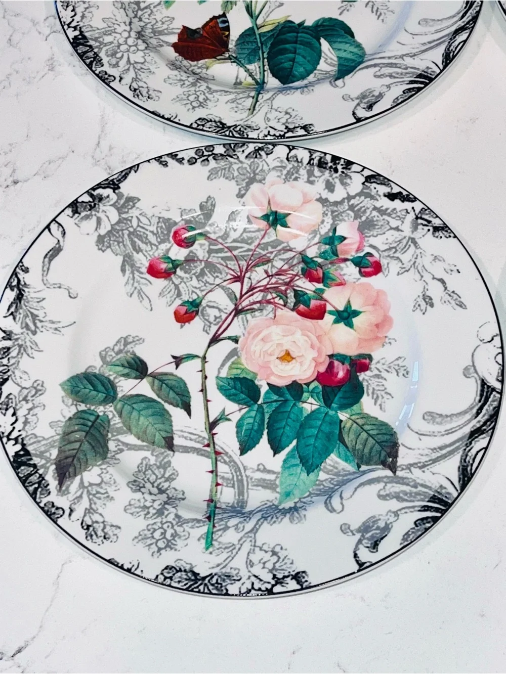 American Atelier Rose Toile Porcelain 8” Salad Plate Floral Set of 4 #5232